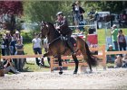 Pferd International 061